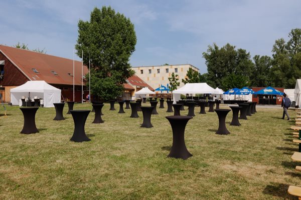 MSD Summer Sports Day